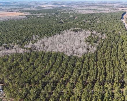 DJI_20250124145831_0133_D