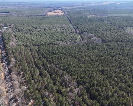 DJI_20250124145916_0134_D