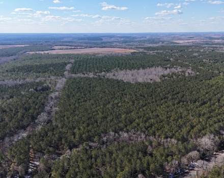 DJI_20250124145945_0135_D