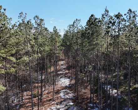 DJI_20250124150427_0147_D