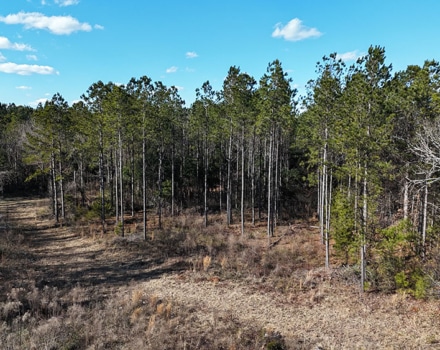 DJI_20250124150435_0148_D