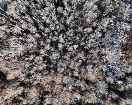 DJI_20250124150555_0150_D