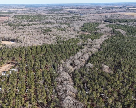 DJI_20250124150621_0152_D