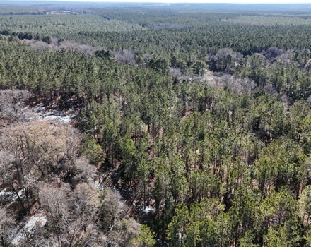 DJI_20250124150715_0154_D