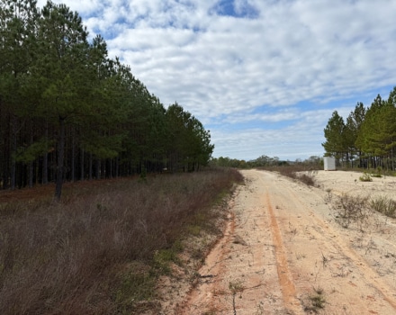 Jackson Toler Tract