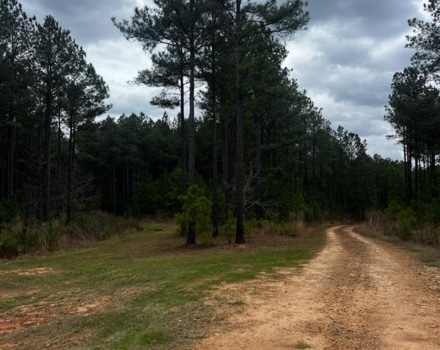Delta Dream Tract 10