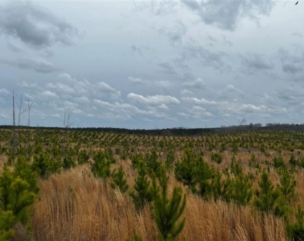 Delta Dream Tract 10