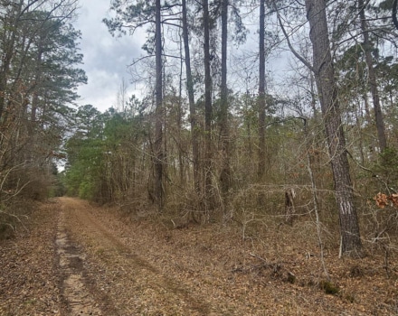 Bowman South Tract