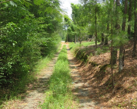 Bellaire Lane Tract