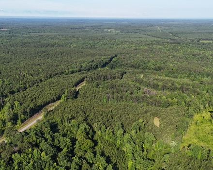 Myrtlewood