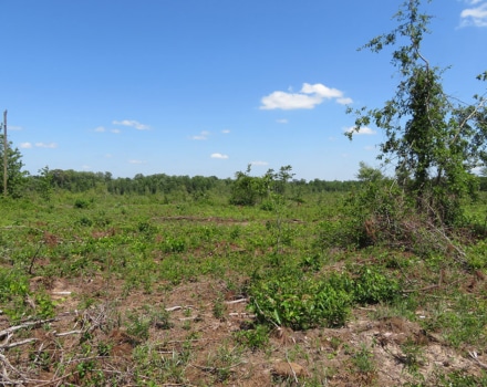 Goolsby Road