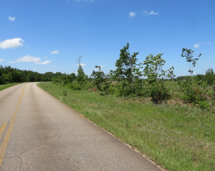 Goolsby Road