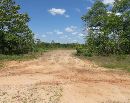 Goolsby Road