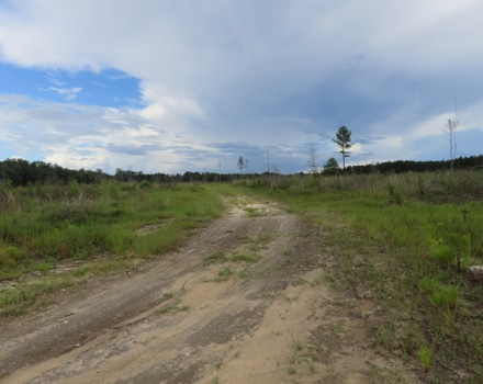 Goat Hill Road Tract