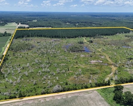 Wellworth Tract