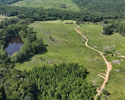 Ogeechee South Tract