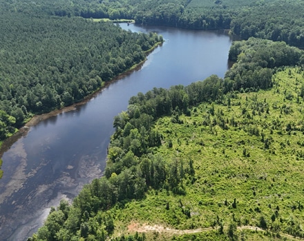 Ogeechee North Tract