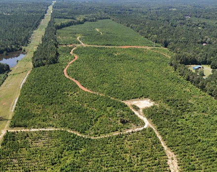 Midway Acres Tract