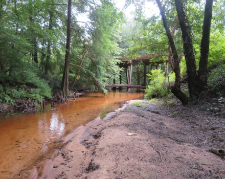 Sandy Creek Tract