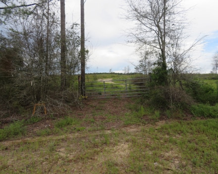 Goat Hill Road Tract