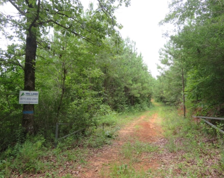 Pinetucky 4307 Tract