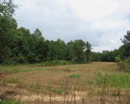 Valley Creek Tract