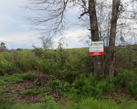Goat Hill Road Tract