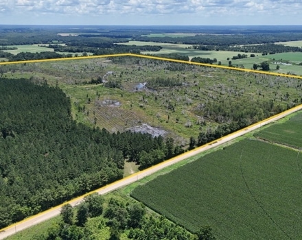Wellworth Tract