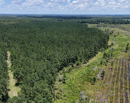Wellworth Tract