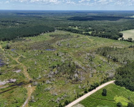 Wellworth Tract