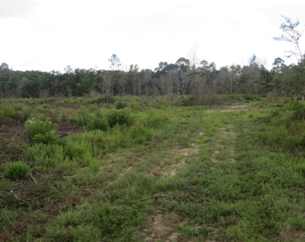 Goat Hill Road Tract