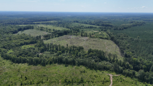 Ogeechee South Tract