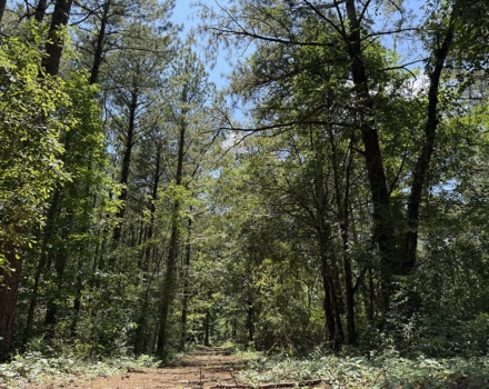 Edwards Ford Tract