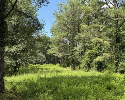 Edwards Ford Tract