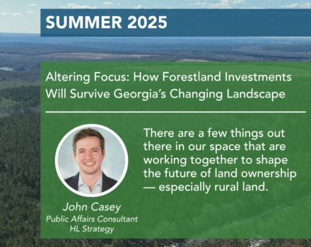 Forestland Investment