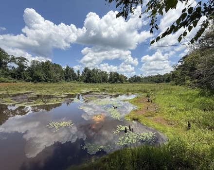 Fox Creek Tract