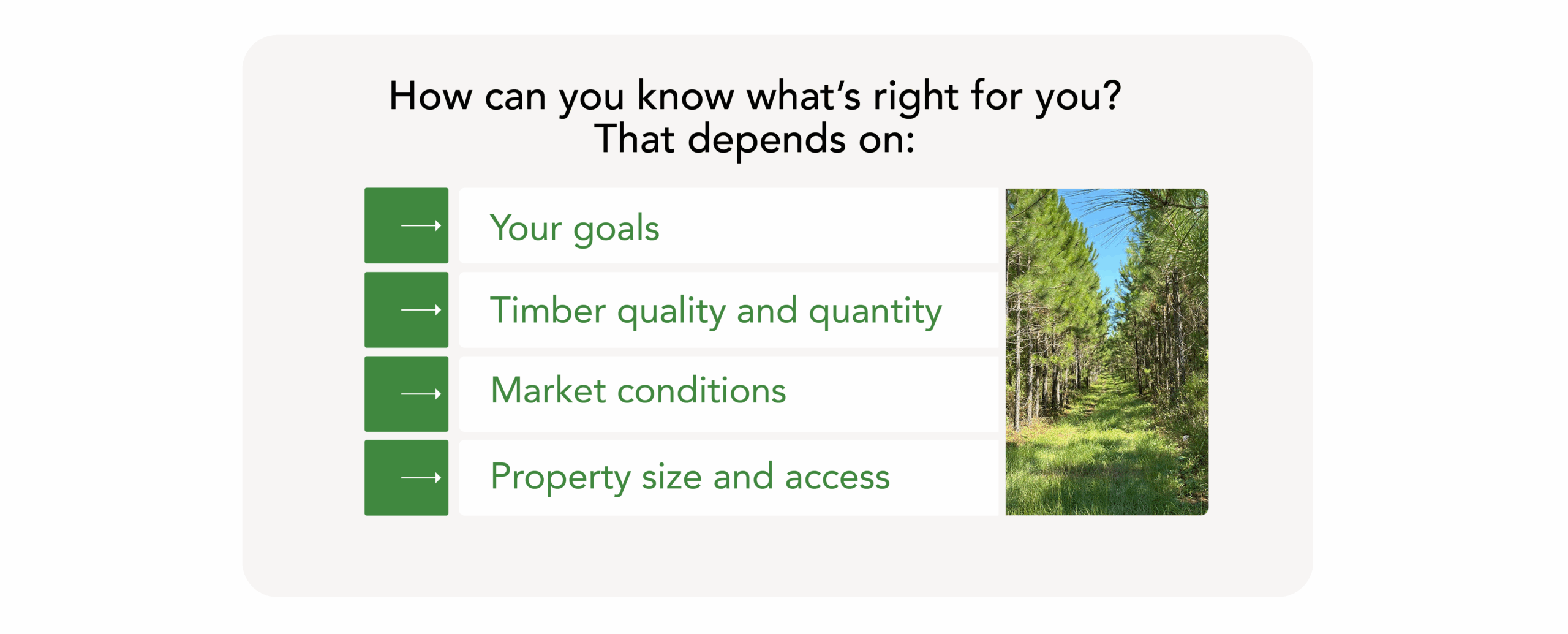 How Do I Sell My Timber?