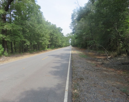 Clyde Place Vivian Tract