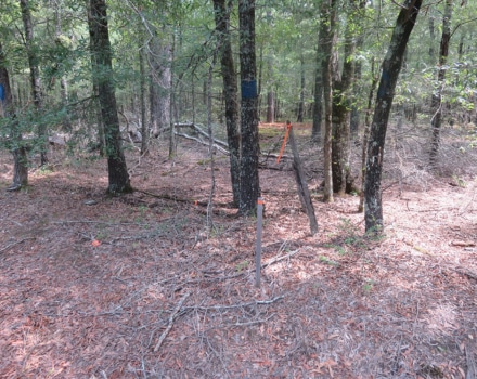 Clyde Place Vivian Tract