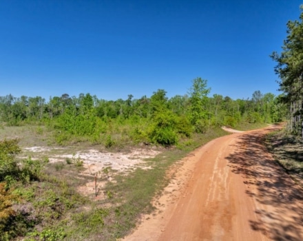 30-Johnson Lauren County 165.7 acres (97)